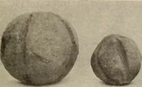 Picture 226 of 475 from Archaiologik ephmeris : ekdidomen hypo ts en Athnais Archaiologiks Hetairias (1862), leaf 254