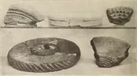 Picture 242 of 475 from Archaiologik ephmeris : ekdidomen hypo ts en Athnais Archaiologiks Hetairias (1862), leaf 265
