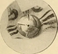 An illustration from Archaiologik ephmeris : ekdidomen hypo ts en Athnais Archaiologiks Hetairias (1862)