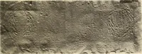 Picture 283 of 475 from Archaiologik ephmeris : ekdidomen hypo ts en Athnais Archaiologiks Hetairias (1862), leaf 372