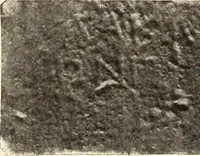 Picture 284 of 475 from Archaiologik ephmeris : ekdidomen hypo ts en Athnais Archaiologiks Hetairias (1862), leaf 373