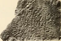 Picture 295 of 475 from Archaiologik ephmeris : ekdidomen hypo ts en Athnais Archaiologiks Hetairias (1862), leaf 383