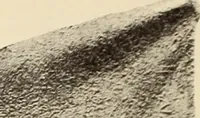 Picture 308 of 475 from Archaiologik ephmeris : ekdidomen hypo ts en Athnais Archaiologiks Hetairias (1862), leaf 417