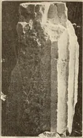 Picture 316 of 475 from Archaiologik ephmeris : ekdidomen hypo ts en Athnais Archaiologiks Hetairias (1862), leaf 427