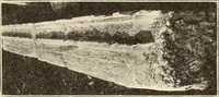 Picture 333 of 475 from Archaiologik ephmeris : ekdidomen hypo ts en Athnais Archaiologiks Hetairias (1862), leaf 438