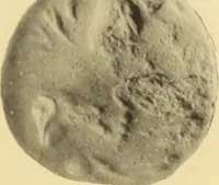Picture 375 of 475 from Archaiologik ephmeris : ekdidomen hypo ts en Athnais Archaiologiks Hetairias (1862), leaf 488