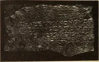 Picture 398 of 475 from Archaiologik ephmeris : ekdidomen hypo ts en Athnais Archaiologiks Hetairias (1862), leaf 521