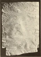 Picture 401 of 475 from Archaiologik ephmeris : ekdidomen hypo ts en Athnais Archaiologiks Hetairias (1862), leaf 523