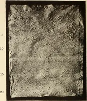 Picture 407 of 475 from Archaiologik ephmeris : ekdidomen hypo ts en Athnais Archaiologiks Hetairias (1862), leaf 531