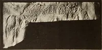 Picture 411 of 475 from Archaiologik ephmeris : ekdidomen hypo ts en Athnais Archaiologiks Hetairias (1862), leaf 535