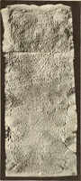 Picture 417 of 475 from Archaiologik ephmeris : ekdidomen hypo ts en Athnais Archaiologiks Hetairias (1862), leaf 540