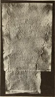 Picture 423 of 475 from Archaiologik ephmeris : ekdidomen hypo ts en Athnais Archaiologiks Hetairias (1862), leaf 549