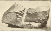 Picture 15 of 475 from Archaiologik ephmeris : ekdidomen hypo ts en Athnais Archaiologiks Hetairias (1862), leaf 55