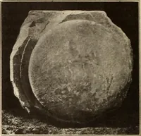 Picture 443 of 475 from Archaiologik ephmeris : ekdidomen hypo ts en Athnais Archaiologiks Hetairias (1862), leaf 569