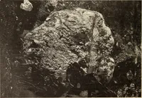 An illustration from Archaiologik ephmeris : ekdidomen hypo ts en Athnais Archaiologiks Hetairias (1862)
