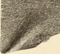 An illustration from Archaiologik ephmeris : ekdidomen hypo ts en Athnais Archaiologiks Hetairias (1862)
