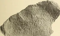 Picture 41 of 475 from Archaiologik ephmeris : ekdidomen hypo ts en Athnais Archaiologiks Hetairias (1862), leaf 96