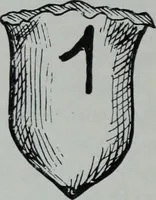 Picture 75 of 431 from Archaiologik ephmeris : ekdidomen hypo ts en Athnais Archaiologiks Hetairias (1862), leaf 123