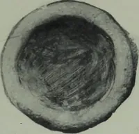 An illustration from Archaiologik ephmeris : ekdidomen hypo ts en Athnais Archaiologiks Hetairias (1862)