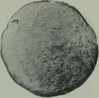 An illustration from Archaiologik ephmeris : ekdidomen hypo ts en Athnais Archaiologiks Hetairias (1862)
