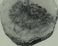 An illustration from Archaiologik ephmeris : ekdidomen hypo ts en Athnais Archaiologiks Hetairias (1862)