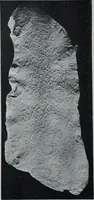 An illustration from Archaiologik ephmeris : ekdidomen hypo ts en Athnais Archaiologiks Hetairias (1862)