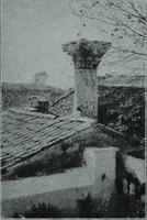 Picture 318 of 431 from Archaiologik ephmeris : ekdidomen hypo ts en Athnais Archaiologiks Hetairias (1862), leaf 432