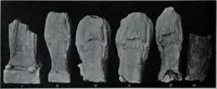 An illustration from Archaiologik ephmeris : ekdidomen hypo ts en Athnais Archaiologiks Hetairias (1862)