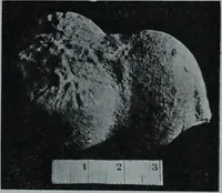 An illustration from Archaiologik ephmeris : ekdidomen hypo ts en Athnais Archaiologiks Hetairias (1862)