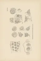 An illustration from Archäologische Reise im Euphrat- und Tigris-gebiet (1911)