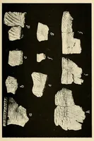 An illustration from Archeological investigations on Manhattan island, New York city (1920)