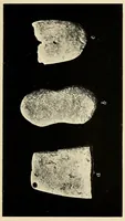 Picture 1 of 17 from Archeological investigations on Manhattan island, New York city (1920), leaf 21