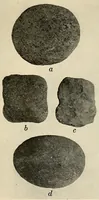 An illustration from Archeological investigations on Manhattan island, New York city (1920)