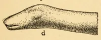 An illustration from Archeological specimens from New England (1919)