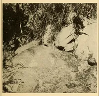 An illustration from Archeology of the Virgin islands (1919)