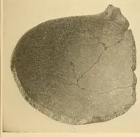 An illustration from Archeology of the Virgin islands (1919)