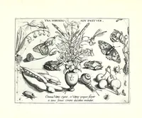 Picture 8 of 18 from Archetypa stvdiaqve patris GeorgiI HoefnageliI (1592), leaf 43
