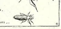 An illustration from Archetypa stvdiaqve patris GeorgiI HoefnageliI (1592)