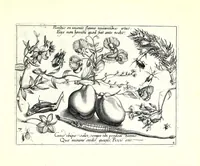 An illustration from Archetypa stvdiaqve patris GeorgiI HoefnageliI (1592)