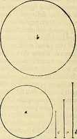 Picture 170 of 405 from Archimedes ta mechri nyn sozomena hapanta. Archimedis Syracusani philosophi ac geometrae excellentissimi opera, quae quidem extant, omnia, multis iam seculis desiderata, atque a quam paucissimis hactenus visa, nuncque primum et Graece et Latine in lucem edita ... Adiecta quoq; sunt Eutocii Ascalonitae in eosdem Archimedis libros commentaria, item Graece et Latine, nunquam antea excusa (1544), leaf 175