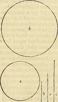 An illustration from Archimedes ta mechri nyn sozomena hapanta. Archimedis Syracusani philosophi ac geometrae excellentissimi opera, quae quidem extant, omnia, multis iam seculis desiderata, atque a quam paucissimis hactenus visa, nuncque primum et Graece et Latine in lucem edita ... Adiecta quoq; sunt Eutocii Ascalonitae in eosdem Archimedis libros commentaria, item Graece et Latine, nunquam antea excusa (1544)