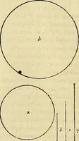 An illustration from Archimedes ta mechri nyn sozomena hapanta. Archimedis Syracusani philosophi ac geometrae excellentissimi opera, quae quidem extant, omnia, multis iam seculis desiderata, atque a quam paucissimis hactenus visa, nuncque primum et Graece et Latine in lucem edita ... Adiecta quoq; sunt Eutocii Ascalonitae in eosdem Archimedis libros commentaria, item Graece et Latine, nunquam antea excusa (1544)