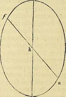Picture 235 of 405 from Archimedes ta mechri nyn sozomena hapanta. Archimedis Syracusani philosophi ac geometrae excellentissimi opera, quae quidem extant, omnia, multis iam seculis desiderata, atque a quam paucissimis hactenus visa, nuncque primum et Graece et Latine in lucem edita ... Adiecta quoq; sunt Eutocii Ascalonitae in eosdem Archimedis libros commentaria, item Graece et Latine, nunquam antea excusa (1544), leaf 235