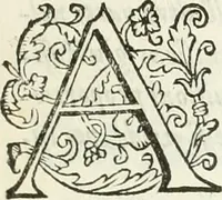 Picture 5 of 52 from Archisesto per formar con facilità li cinque ordini d'architettura : con altri particolari intorno la medesima professione (1627), leaf 10