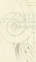 An illustration from Archisesto per formar con facilità li cinque ordini d'architettura : con altri particolari intorno la medesima professione (1627)