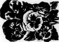 An illustration from The Architect (1905)