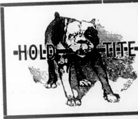 An illustration from The Architect (1905)