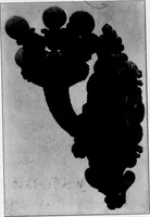 An illustration from The Architect (1905)