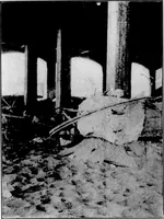 An illustration from The Architect (1905)