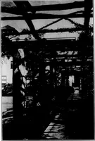 An illustration from The Architect (1905)